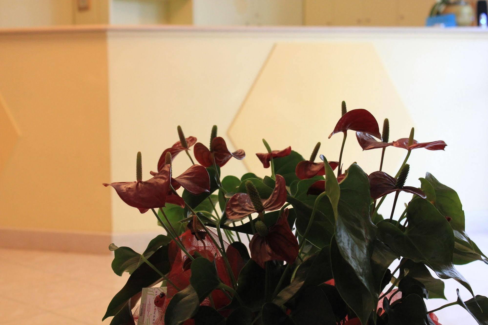 Hh Il Gabbiano Hotel La Spezia Ngoại thất bức ảnh